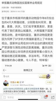 重庆问政最新爆料,揭露背后惊人真相